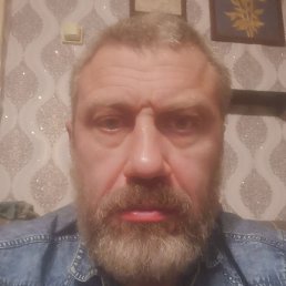 ������, ������, 46 ���