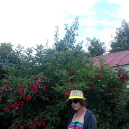 �����, ����