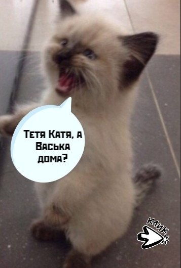 ��� ���� � ����� �� �� - 7 ������� 2026 � 20:48