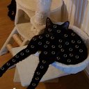 ���� ���, ���������, 23 ���� - ��������� 10 ������ 2024 � ������ ���� ����������