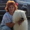 ���� ��������, �����, 56 ��� - ��������� 22 ������ 2026