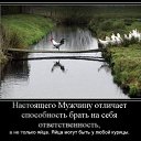 ���� ���, ��������, 50 ��� - ��������� 25 ������� 2026