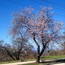 ���� Victor, ������ - ��������� 23 ������� 2026 � ������ ������ ��������
