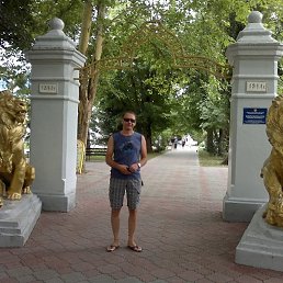 ���, ���������, 56 ���