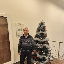 ����, �������, 44 ����