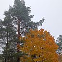 ���� �������, ������, 58 ��� - ��������� 7 ������� 2025 � ������ ���� ���� - �� �������