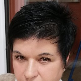 , 58, 