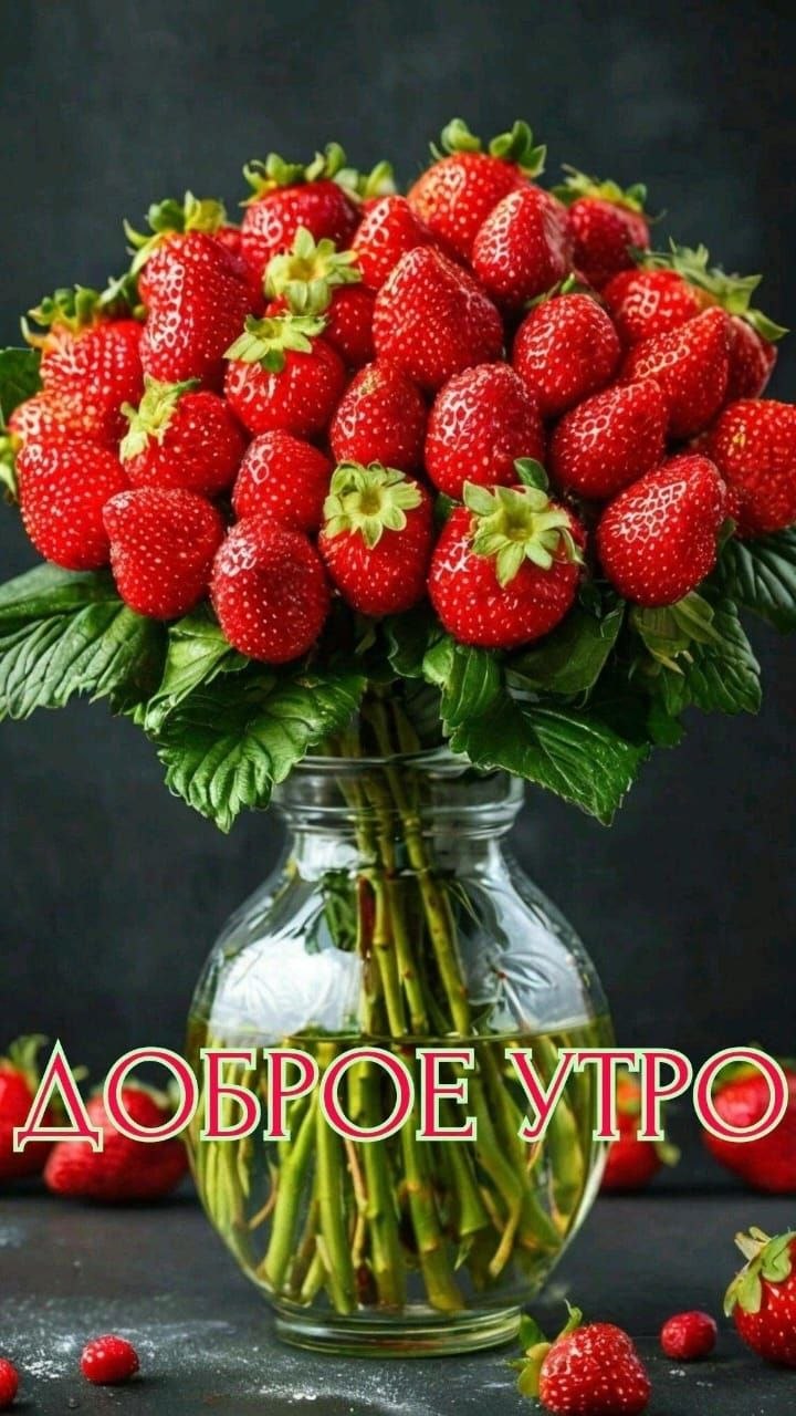***Victoria Viktorovna*** - 26  2025  03:27