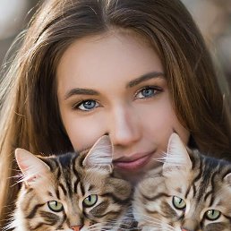 ����� ��������, ������, 21 ���