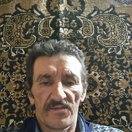 , 51, 