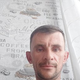 , 41, 