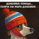   ,  -  11  2024    