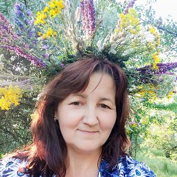 , 50, 