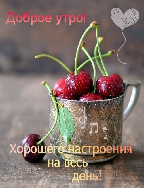   ,    . - 5  2025  20:02 - 4