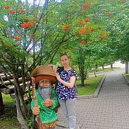 , 33 , 