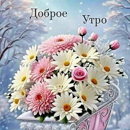 ���� �����, ��������, 58 ��� - ��������� 28 ������ 2025