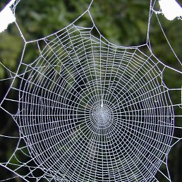 Miroslav, ����������, 47 ���