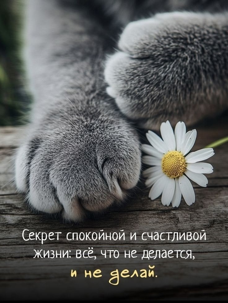  - 19  2025  09:58