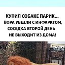 ���� ����, ��������� - ��������� 7 ������ 2026 � ������ ������ ��������