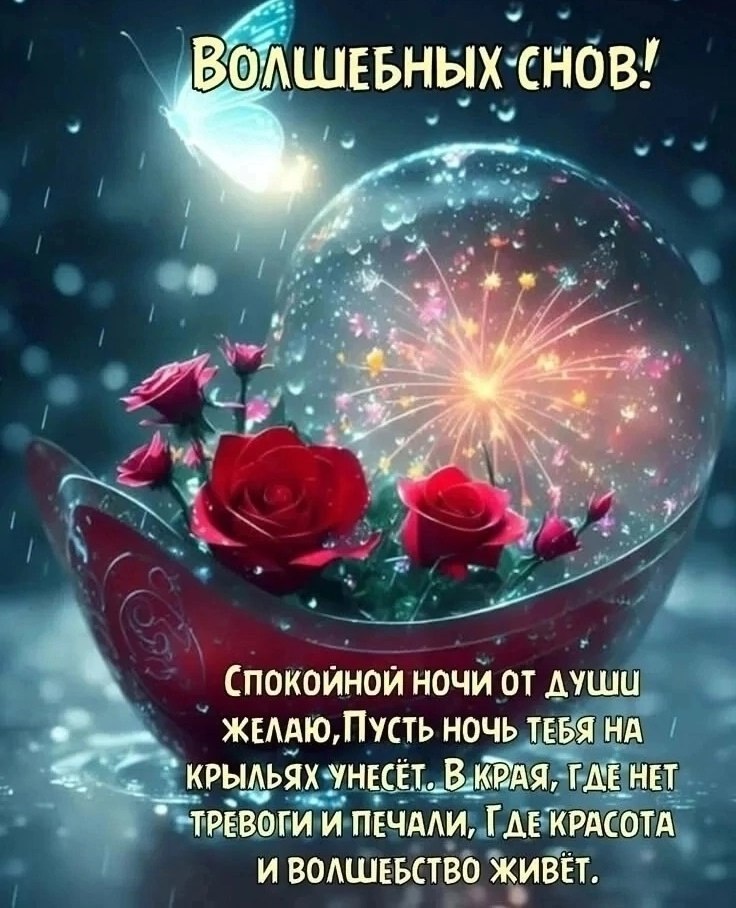   ,    . - 28  2025  21:49