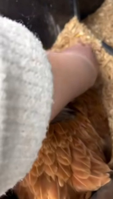 ,     
