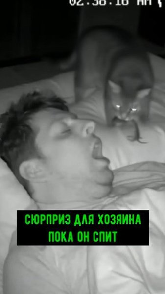 ������, � ���� �������� ������