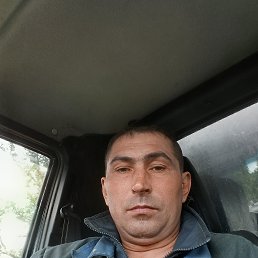 ����, 41 ���, ���������