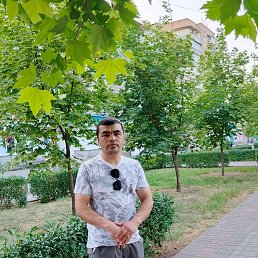 , 33, 