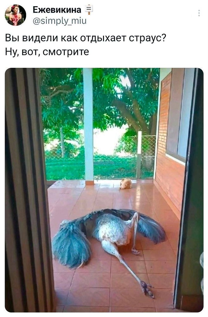  !