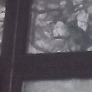 �����, 58 ���, ������