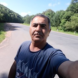 , 65, 