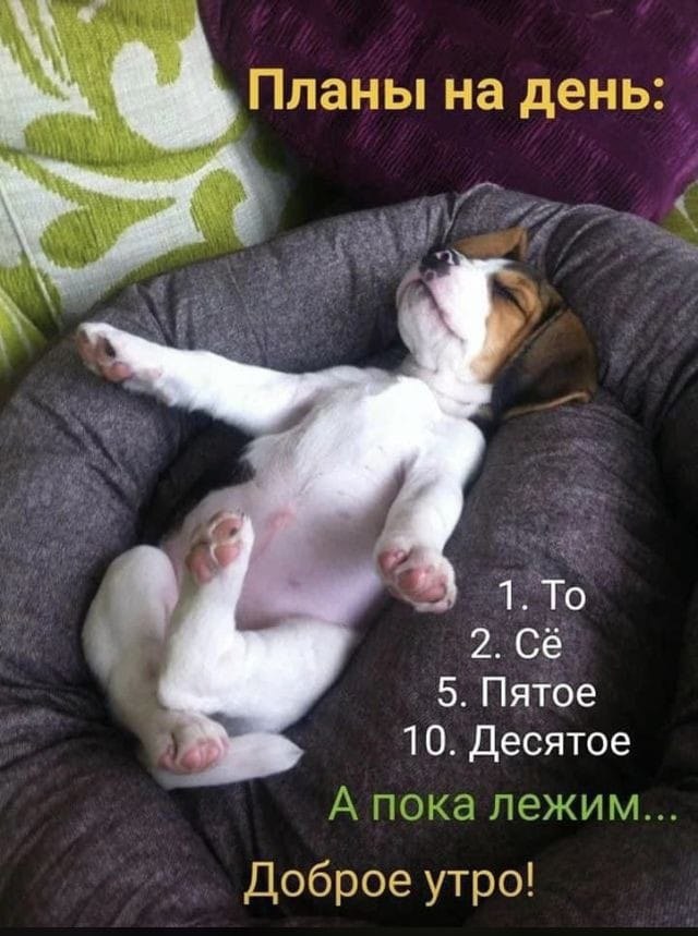 ...)))