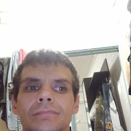  , 38, 