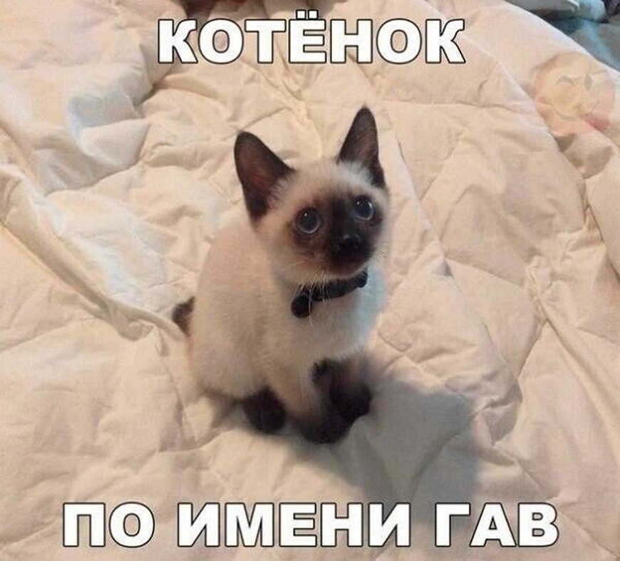 ? ,  ! - 6  2025  06:31