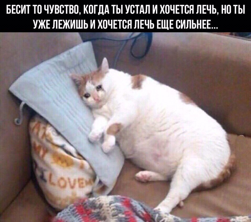    - 13  2023  04:29