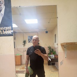 , 56, -