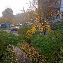 ���� ������, �������, 65 ��� - ��������� 17 ������� 2026 � ������ ���� ����������