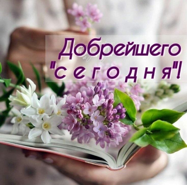 Всё будет хорошо! - 13 августа 2025 в 07:12