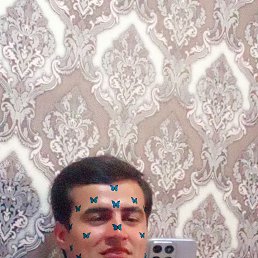 , 21, 