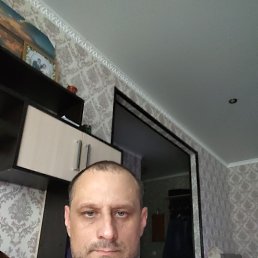 , 41, 