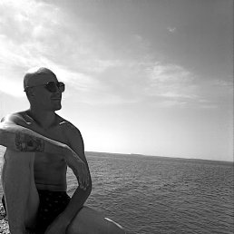 , 29, 