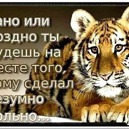 �����, ������, 38 ���