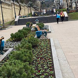 �����, ��������