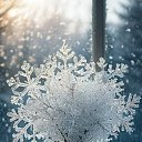 ���� ������, ������������ - ��������� 7 ������ 2026 � ������ ������ ��������