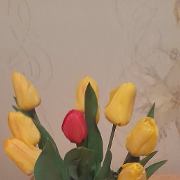 ���� �����, �����, 50 ��� - ��������� 18 ������� 2025