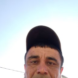 ���� ���, ������, 36 ��� - ��������� 4 �������� 2024