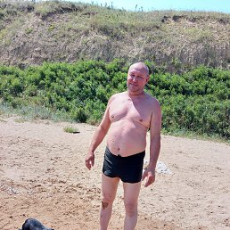 , 51 , 