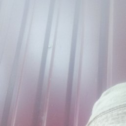 �������, ����, 39 ���