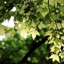 ���� ����, ����� - ��������� 4 ������� 2025