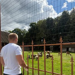 ���� �������, �����, 30 ��� - ��������� 24 ������� 2025